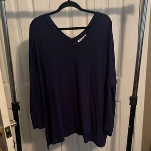 Express Deep Blue V-Neck Sweatshirt